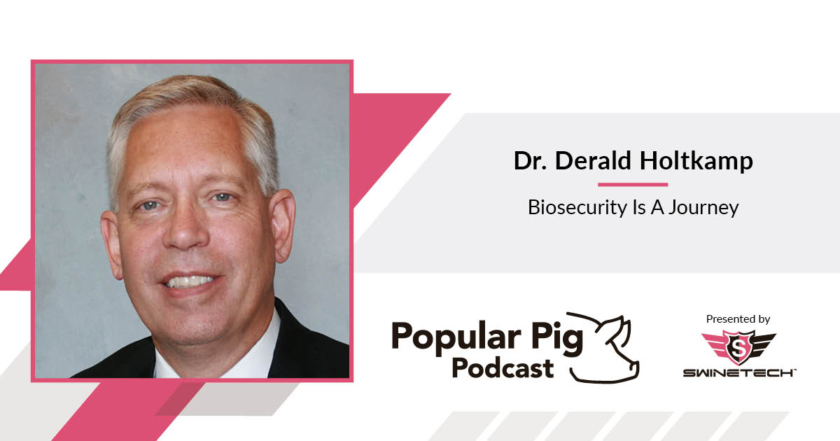 biosecurity-is-a-journey-dr-derald-holtkamp-popular-pig