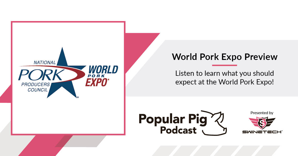 2023 World Pork Expo Preview Popular Pig